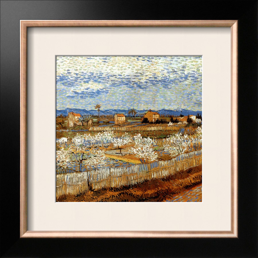 La Plaine De La Crau Avec Pechers En Fleurs By Vincent Van Gogh